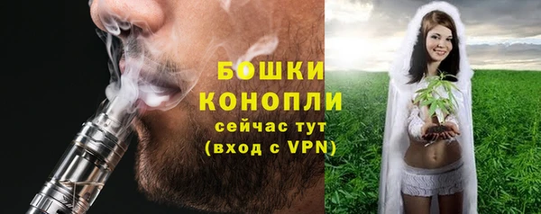 дурь Лагань